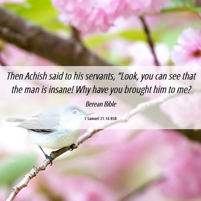 Picture 06 - 1 Samuel 21:14 BSB - Then Achish said to his servants, “Look, you - Bible Verse Picture