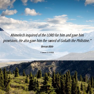 Picture 06 - 1 Samuel 22:10 BSB - Ahimelech inquired of the LORD for him and gave - Bible Verse Picture