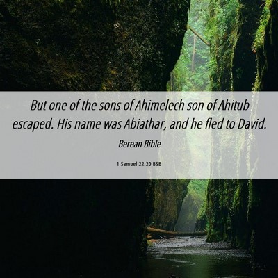 Picture 06 - 1 Samuel 22:20 BSB - But one of the sons of Ahimelech son of Ahitub - Bible Verse Picture