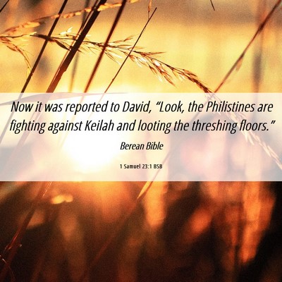 Picture 06 - 1 Samuel 23:1 BSB - Now it was reported to David, “Look, the - Bible Verse Picture