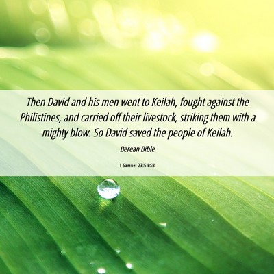 Picture 06 - 1 Samuel 23:5 BSB - Then David and his men went to Keilah, fought - Bible Verse Picture