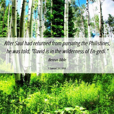 Picture 06 - 1 Samuel 24:1 BSB - After Saul had returned from pursuing the - Bible Verse Picture