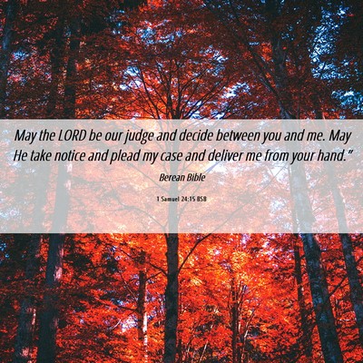 Picture 06 - 1 Samuel 24:15 BSB - May the LORD be our judge and decide between you - Bible Verse Picture