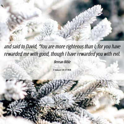 Picture 06 - 1 Samuel 24:17 BSB - and said to David, “You are more righteous than - Bible Verse Picture