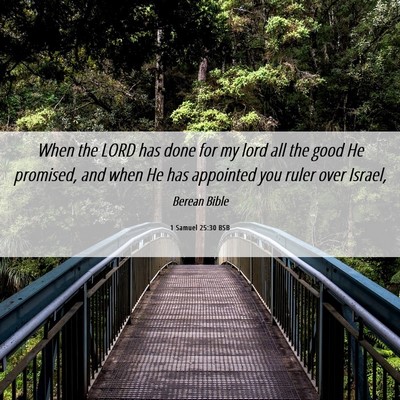 Picture 06 - 1 Samuel 25:30 BSB - When the LORD has done for my lord all the good - Bible Verse Picture