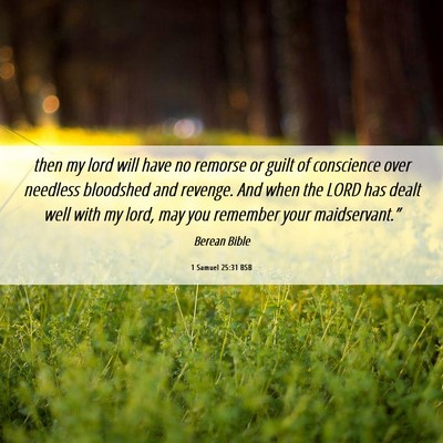 Picture 06 - 1 Samuel 25:31 BSB - then my lord will have no remorse or guilt of - Bible Verse Picture