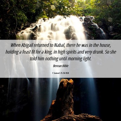 Picture 06 - 1 Samuel 25:36 BSB - When Abigail returned to Nabal, there he was in - Bible Verse Picture
