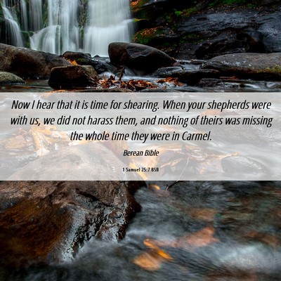 Picture 06 - 1 Samuel 25:7 BSB - Now I hear that it is time for shearing. When - Bible Verse Picture