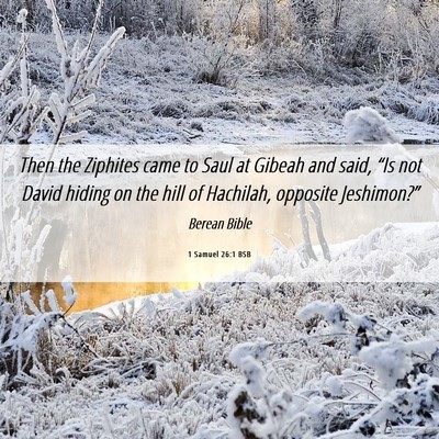 Picture 06 - 1 Samuel 26:1 BSB - Then the Ziphites came to Saul at Gibeah and - Bible Verse Picture