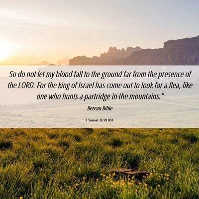 Picture 06 - 1 Samuel 26:20 BSB - So do not let my blood fall to the ground far - Bible Verse Picture