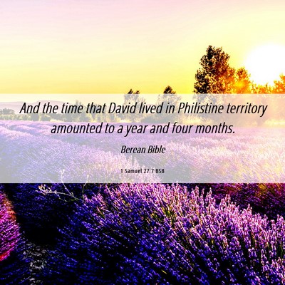 Picture 06 - 1 Samuel 27:7 BSB - And the time that David lived in Philistine - Bible Verse Picture