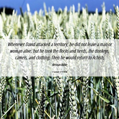 Picture 06 - 1 Samuel 27:9 BSB - Whenever David attacked a territory, he did not - Bible Verse Picture