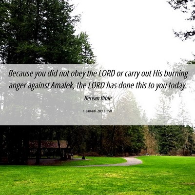 Picture 06 - 1 Samuel 28:18 BSB - Because you did not obey the LORD or carry out - Bible Verse Picture