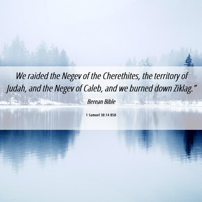 Picture 06 - 1 Samuel 30:14 BSB - We raided the Negev of the Cherethites, the - Bible Verse Picture