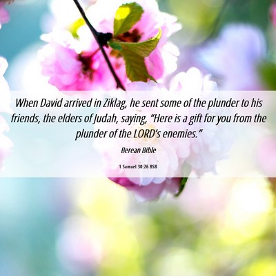 Picture 06 - 1 Samuel 30:26 BSB - When David arrived in Ziklag, he sent some of the - Bible Verse Picture