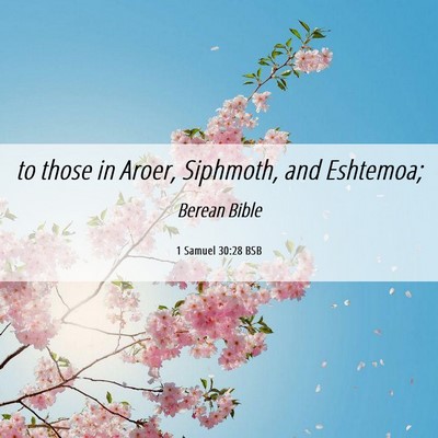 Picture 06 - 1 Samuel 30:28 BSB - to those in Aroer, Siphmoth, and - Bible Verse Picture