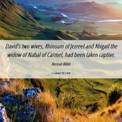 Picture 06 - 1 Samuel 30:5 BSB - David’s two wives, Ahinoam of Jezreel and - Bible Verse Picture