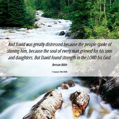 Picture 06 - 1 Samuel 30:6 BSB - And David was greatly distressed because the - Bible Verse Picture