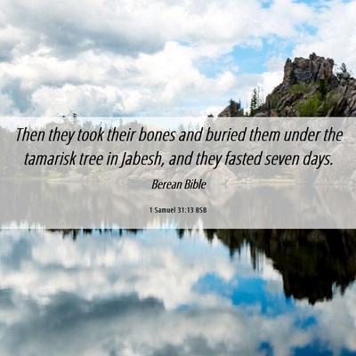 Picture 06 - 1 Samuel 31:13 BSB - Then they took their bones and buried them under - Bible Verse Picture