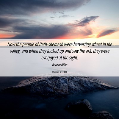 Picture 06 - 1 Samuel 6:13 BSB - Now the people of Beth-shemesh were harvesting - Bible Verse Picture