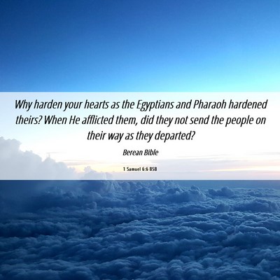 Picture 06 - 1 Samuel 6:6 BSB - Why harden your hearts as the Egyptians and - Bible Verse Picture