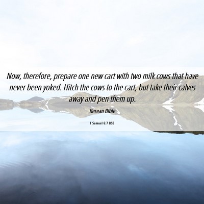 Picture 06 - 1 Samuel 6:7 BSB - Now, therefore, prepare one new cart with two - Bible Verse Picture