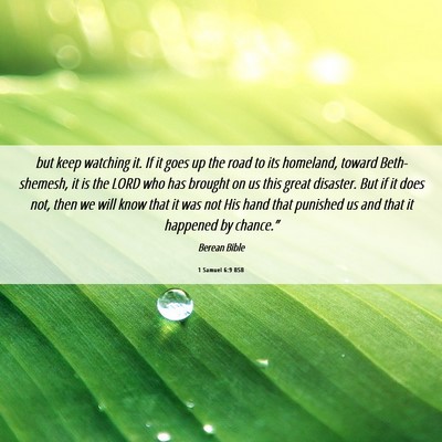 Picture 06 - 1 Samuel 6:9 BSB - but keep watching it. If it goes up the road to - Bible Verse Picture