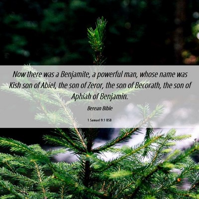 Picture 06 - 1 Samuel 9:1 BSB - Now there was a Benjamite, a powerful man, whose - Bible Verse Picture
