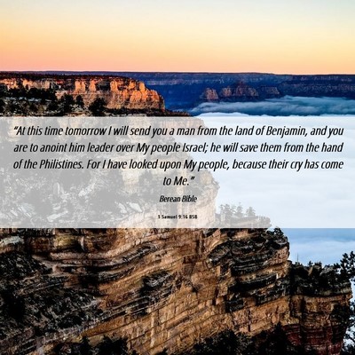 Picture 06 - 1 Samuel 9:16 BSB - “At this time tomorrow I will send you a man - Bible Verse Picture
