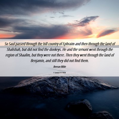 Picture 06 - 1 Samuel 9:4 BSB - So Saul passed through the hill country of - Bible Verse Picture