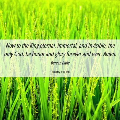 Picture 06 - 1 Timothy 1:17 BSB - Now to the King eternal, immortal, and invisible, - Bible Verse Picture