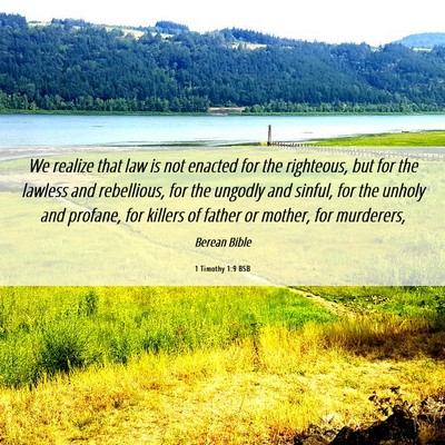 Picture 06 - 1 Timothy 1:9 BSB - We realize that law is not enacted for the - Bible Verse Picture