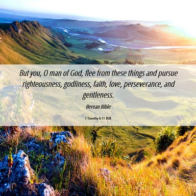 Picture 06 - 1 Timothy 6:11 BSB - But you, O man of God, flee from these things and - Bible Verse Picture