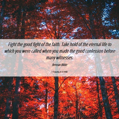 Picture 06 - 1 Timothy 6:12 BSB - Fight the good fight of the faith. Take hold of - Bible Verse Picture