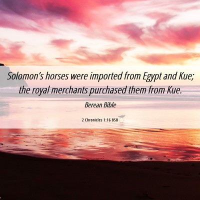 Picture 06 - 2 Chronicles 1:16 BSB - Solomon’s horses were imported from Egypt and - Bible Verse Picture
