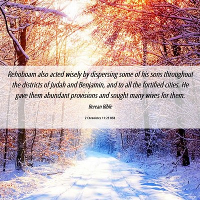 Picture 06 - 2 Chronicles 11:23 BSB - Rehoboam also acted wisely by dispersing some of - Bible Verse Picture