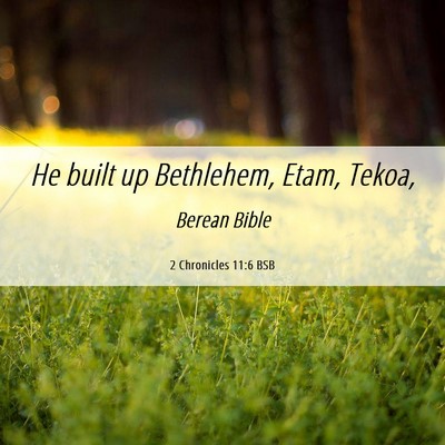 Picture 06 - 2 Chronicles 11:6 BSB - He built up Bethlehem, Etam, - Bible Verse Picture