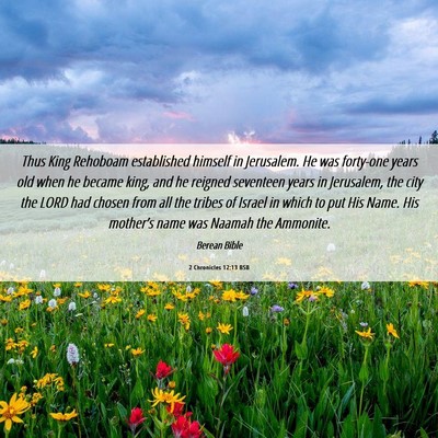 Picture 06 - 2 Chronicles 12:13 BSB - Thus King Rehoboam established himself in - Bible Verse Picture