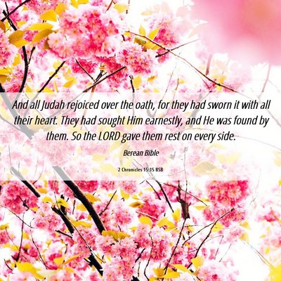 Picture 06 - 2 Chronicles 15:15 BSB - And all Judah rejoiced over the oath, for they - Bible Verse Picture
