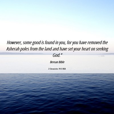 Picture 06 - 2 Chronicles 19:3 BSB - However, some good is found in you, for you have - Bible Verse Picture