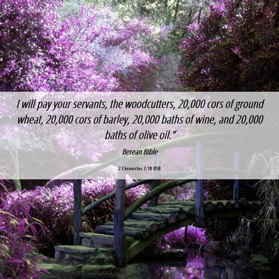 Picture 06 - 2 Chronicles 2:10 BSB - I will pay your servants, the woodcutters, 20,000 - Bible Verse Picture