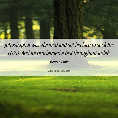 Picture 06 - 2 Chronicles 20:3 BSB - Jehoshaphat was alarmed and set his face to seek - Bible Verse Picture