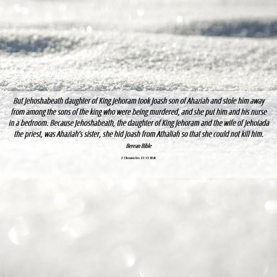Picture 06 - 2 Chronicles 22:11 BSB - But Jehoshabeath daughter of King Jehoram took - Bible Verse Picture