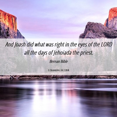 Picture 06 - 2 Chronicles 24:2 BSB - And Joash did what was right in the eyes of the - Bible Verse Picture