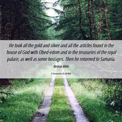 Picture 06 - 2 Chronicles 25:24 BSB - He took all the gold and silver and all the - Bible Verse Picture