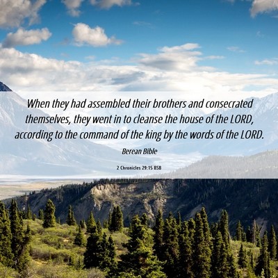 Picture 06 - 2 Chronicles 29:15 BSB - When they had assembled their brothers and - Bible Verse Picture