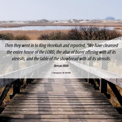 Picture 06 - 2 Chronicles 29:18 BSB - Then they went in to King Hezekiah and reported, - Bible Verse Picture