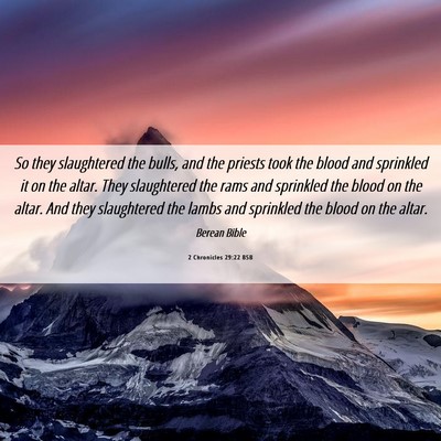 Picture 06 - 2 Chronicles 29:22 BSB - So they slaughtered the bulls, and the priests - Bible Verse Picture