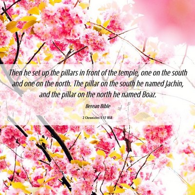 Picture 06 - 2 Chronicles 3:17 BSB - Then he set up the pillars in front of the - Bible Verse Picture