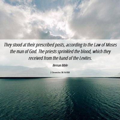 Picture 06 - 2 Chronicles 30:16 BSB - They stood at their prescribed posts, according - Bible Verse Picture